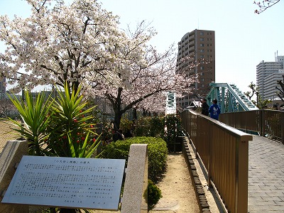 小久保こ線橋と桜