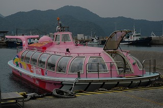 青海島遊覧船「ピンクシータス」