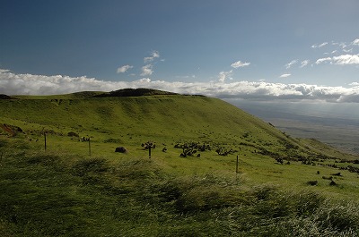 Kohala Mountain RD