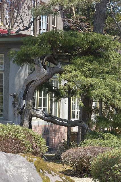 庭園内部から見た洋館２