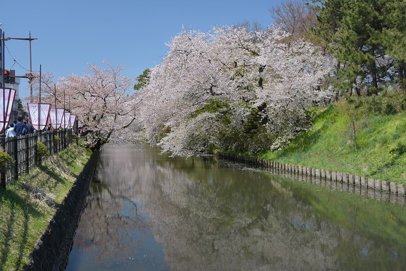追手門方面の桜２