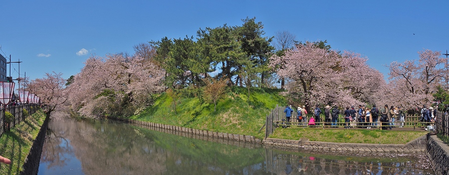追手門方面の桜１