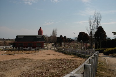 牛舎と放牧場