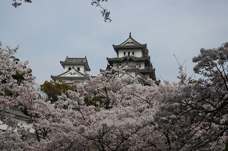 桜の天守閣