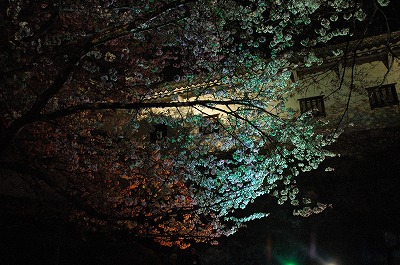 ライトアップされた姫路城西の丸庭園