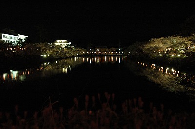 北外濠の夜桜