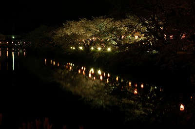 北外濠の夜桜