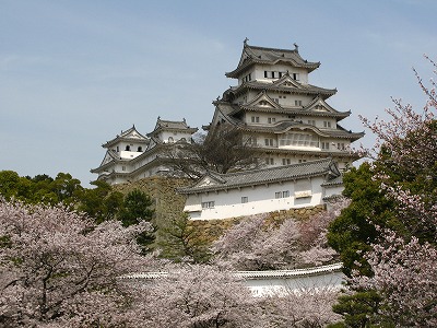 桜の姫路城