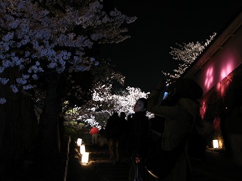 ライトアップされた姫路城西の丸庭園