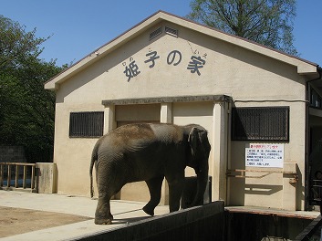 姫路動物園