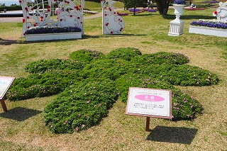国営明石海峡公園　TAKARAZUKA ドリームガーデン　移ろいの庭