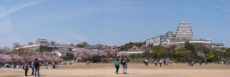 姫路城の桜　三の丸パノラマ