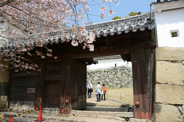 姫路城の桜　ろの門