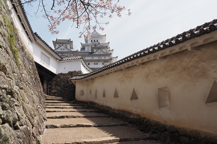 姫路城の桜　はの門