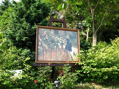 プティ･ジュンヌヴィリエールの庭の薔薇