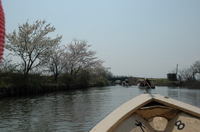 近江八幡水郷めぐり