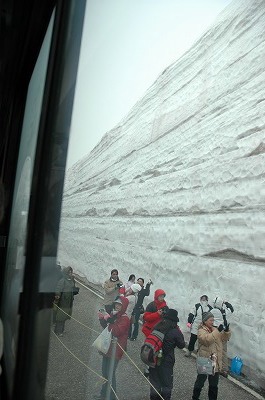 立山高原バスからの雪の大谷ウォーク