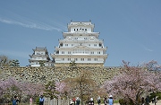 姫路城の桜と太市の筍