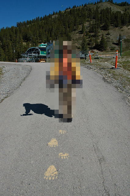 グリズリーベアの足跡