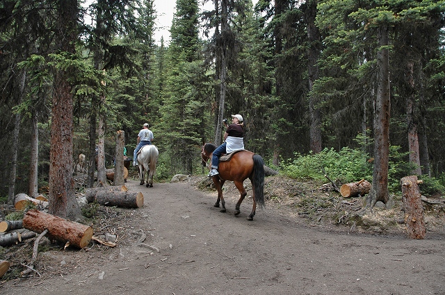 ミラー湖乗馬トレイル