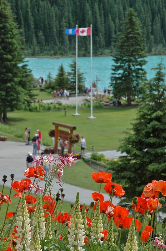 レイク・ルイーズ湖畔１１