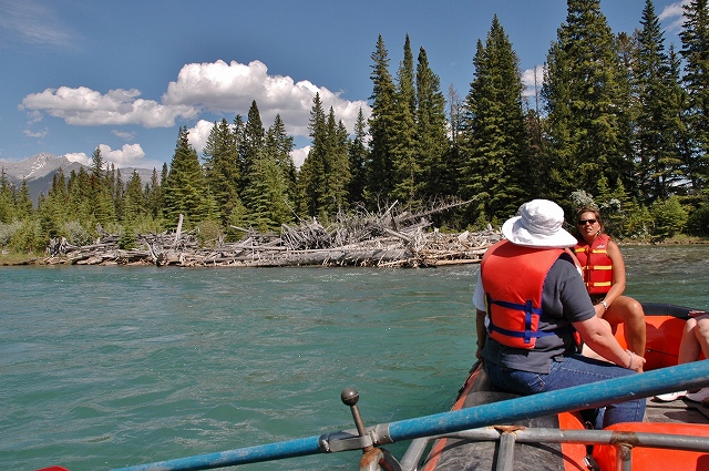 ラフィティングでビーバーダム