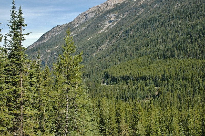 スパイラル・トンネル