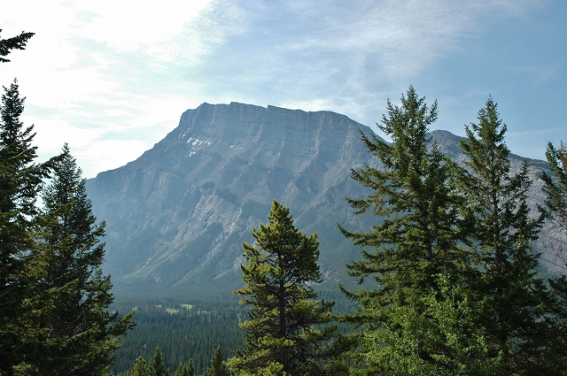 ジャイアント・サンドイッチ1