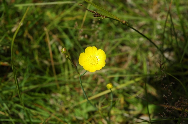 トゥー・ジャック湖3