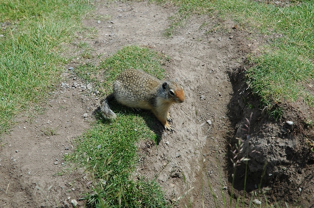 トゥー・ジャック湖5
