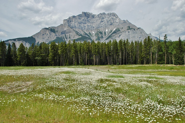 トゥー・ジャック湖9