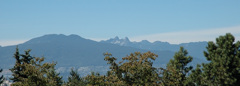 クイーン・エリザベス公園からの眺め