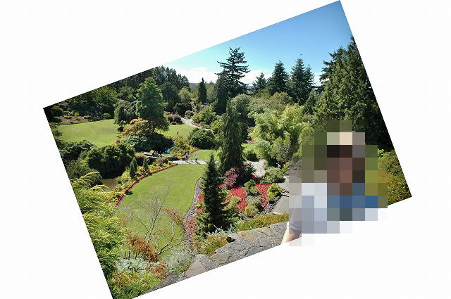 クイーン・エリザベス・クワリー・ガーデンズ２