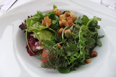 Mixed salad and wild herbs with croutons