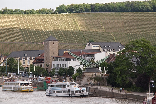 古いクレーンとぶどう畑