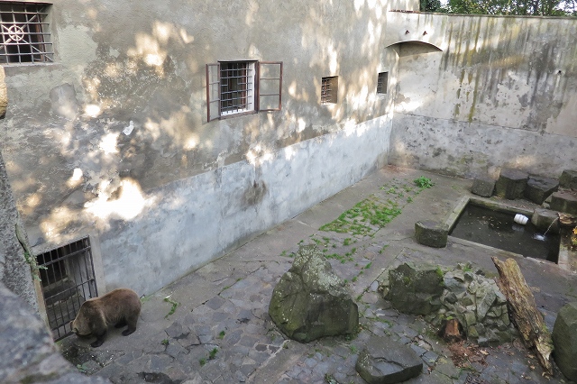 チェスキー・クルムロフ城　熊のいる堀