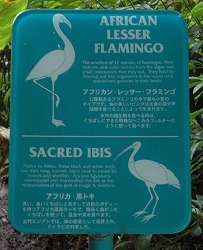 ヒルトン・ハワイアン・ビレッジ