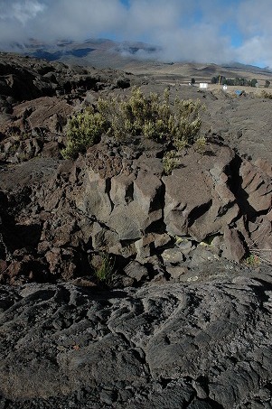 サドルロード付近の溶岩