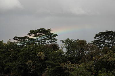 レインボー滝の虹
