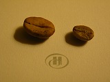 コナコーヒー豆