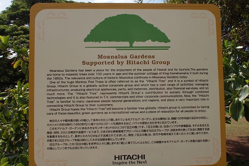 モアナルアガーデン