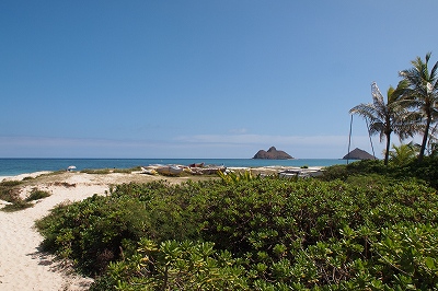 オーシャンアクセス４