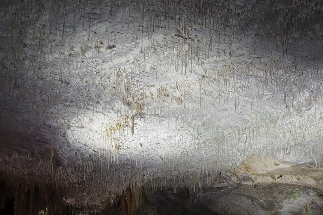 ポストイナ鍾乳洞