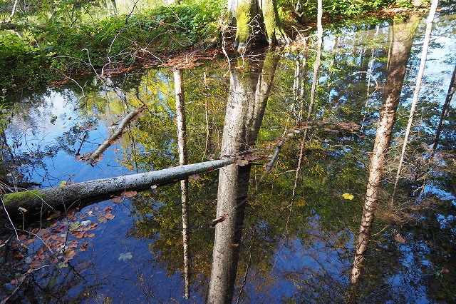 ガロヴァツ湖近くの小さな湖