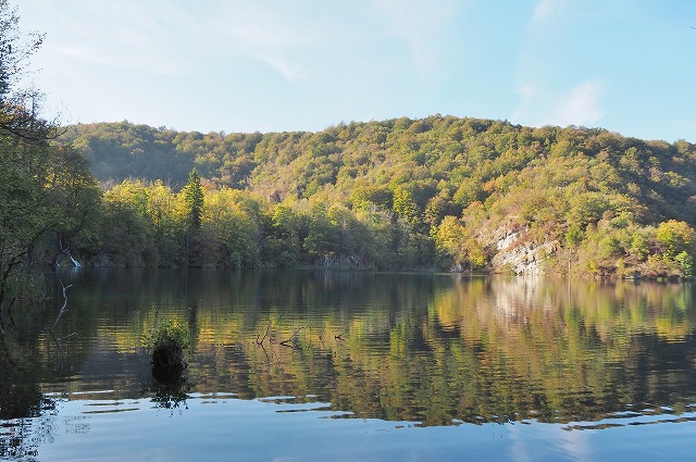 ガロヴァツ湖の猫