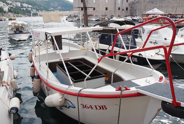 チャータークルーズ船