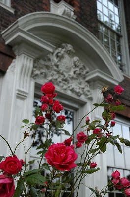 ケンジントン宮殿とバラ